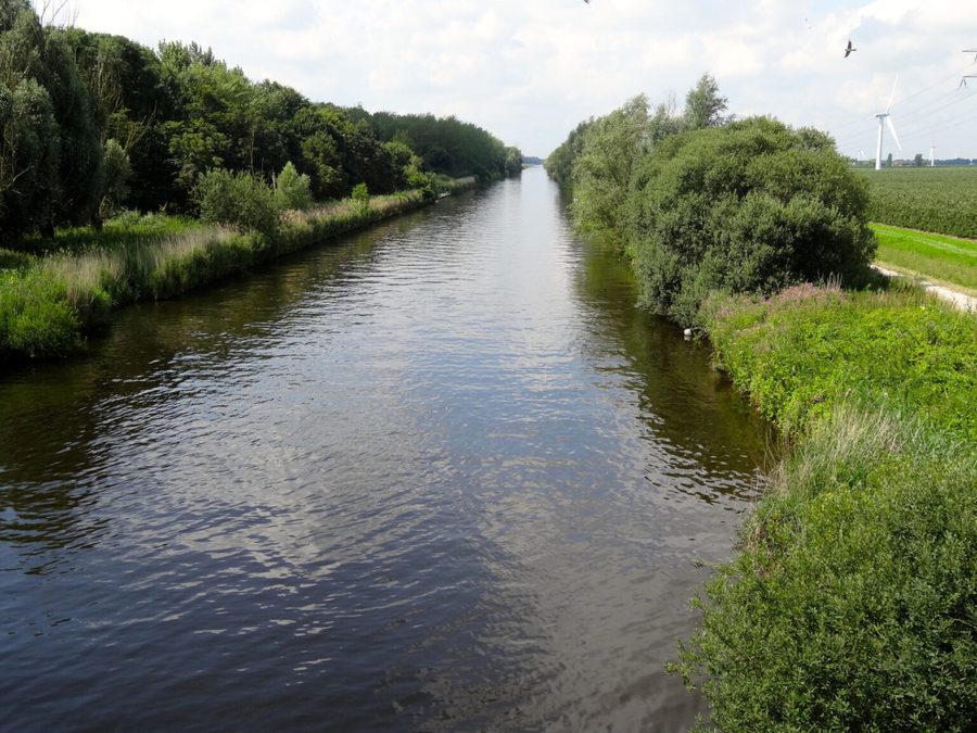 Rustig water omzoomd door groen bij Biddinghuizen